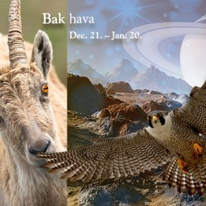 Csillagmesék® – BAK hava (dec. 21.– jan. 20.)