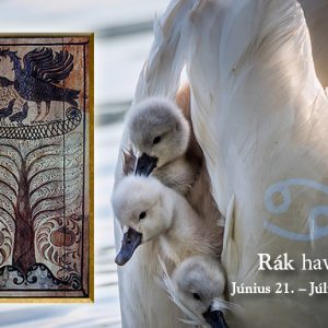 Csillagmesék®  – RÁK hava (június 21.– július. 20.)