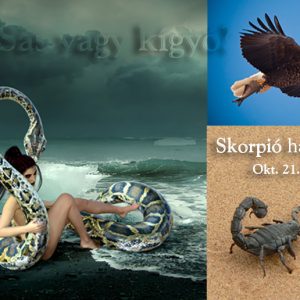 Csillagmesék® – SKORPIÓ hava (okt. 21.– nov. 20.)