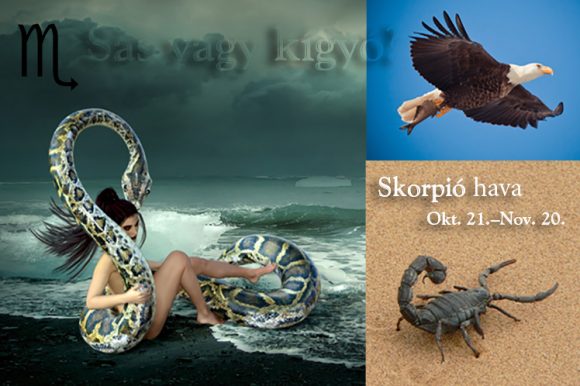 Csillagmesék® – SKORPIÓ hava (okt. 21.– nov. 20.)