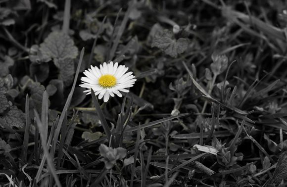 A HALHATATLANSÁG ORSZÁGA