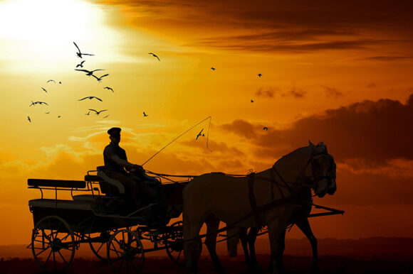 TAMÁS KOCSIS TAMÁS KOCSIS